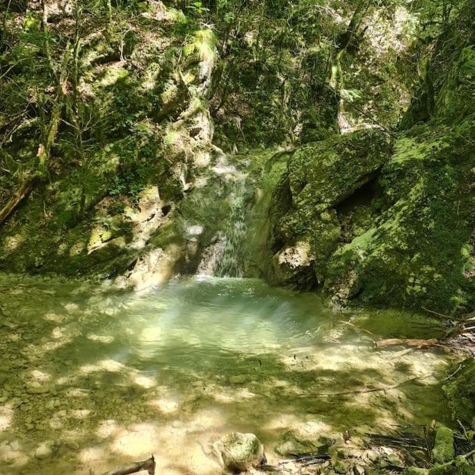 Precioso Apartamento En El Pirineo Catalan La Pobla de Lillet Exteriör bild